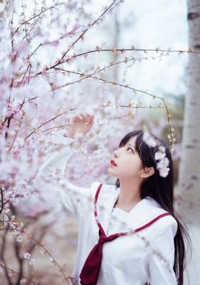 请做我的奴隶